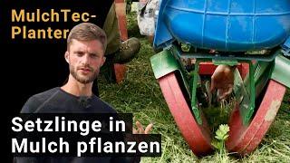 Mulchtec Planter Gemüsesetzlinge in Mulchschicht pflanzen vorgestellt von Johannes Storch
