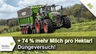 Düngeversuch zeigt + 74 % mehr Milch pro Hektar durch Grünlanddüngung Grünland verbessern #616