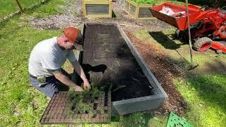 From the Field  Planting Asparagus