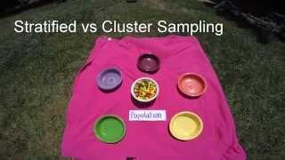 Stratified v Cluster Sampling