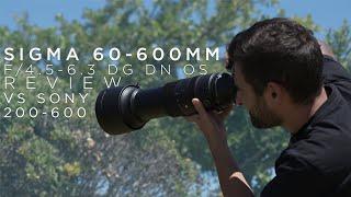 Sigma 60-600mm f4.5-6.3 Review vs Sony 200-600mm