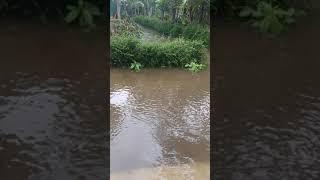 Banjir depan Rumah Caruban Adimulyo Senin 26 Oktober 2020