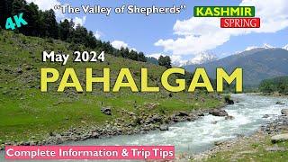 Pahalgam Kashmir  May 2024  Complete Trip Guide Aru Valley  Betab Valley   travel information