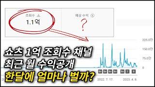 유튜브 쇼츠 1억 조회수 채널 수익은? 한달에 얼마나 벌까? 1년간 쇼츠로 부업하며 느낀 쇼츠의 장단점