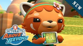 Octonauts Above & Beyond - Meet Octo-Agent Min the Mapmaker  @Octonauts