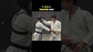 Karate masters high-speed continuous punching