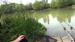 FRAMFIELD PARK FISHERIES UCKFIELD E. SUSSEX