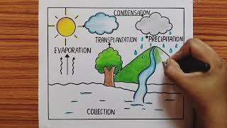 How to Draw Water Cycle Drawing For School Project  Water Cycle Drawing  Water Cycle Project