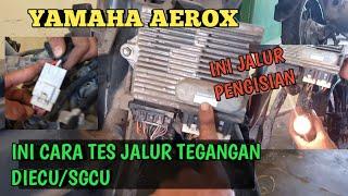 CARA CEK JALUR KABEL  SGCU YAMHA AEROX