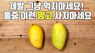 망고의 모든 것 이것만 숙지하세요 고르는 법 애플망고 무지개망고 차이 종류 보관법 후숙 자르는 법까지