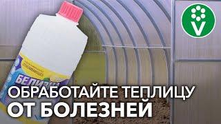 ЭТО ЛУЧШЕЕ СРЕДСТВО ДЛЯ ДЕЗИНФЕКЦИИ ТЕПЛИЦЫ ОСЕНЬЮ после томатов огурцов и перцев