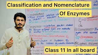 Classification and Nomenclature of Enzymes#mdcat biology