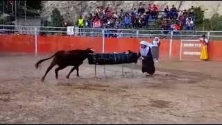 Madre torea el toro