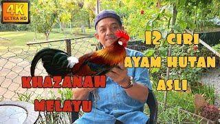  12 CIRI FIZIKAL AYAM HUTAN MERAH ASLI  GALLUS GALLUS