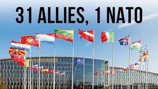 31 Allies 1 NATO