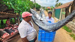 Amazing Sri lankan Biggest Fish Market And Hardworking Old Fisherman Day in life