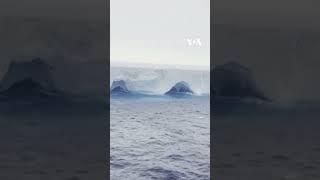 Eyewitness Video Shows World’s Largest Iceberg Drifting in Antarctic Ocean   VOA News #shorts