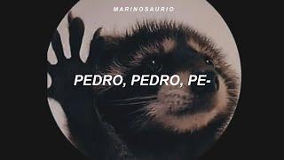 la canción de pedro  PEDRO - Raffaella Carrà Jaxomy Agatino Romero Remix sub. español