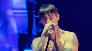 Red Hot Chili Peppers - Hard to Concentrate Live 4K