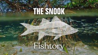 Catching Snook Everything You Need To Know  Fishtory