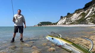 Lure fishing into a SHOAL  of BASS