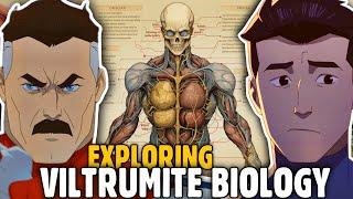 Anatomy Of OMNI MAN & INVINCIBLE  Viltrumites History & Biology Explored