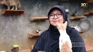 Kisah Seorang Ibu Hidup Bersama 600 Kucing Terlantar -Program Special 20Detik