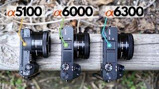 A5100 vs A6000 vs A6300 A Practical Comparison