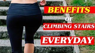 What would happen to your body if you Climb Stairs Everyday  Benefits Of Climbing Stairs 