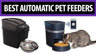 Best Automatic Pet Feeders 2020 