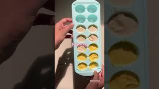 Dog friendly Food Recipe  Dessert  Yogurt Popsicle  Icecream  Ponyntail