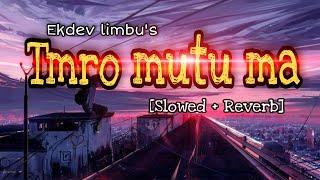 Timro mutu ma  Ekdev Limbu  Slow + Reverb Version  Lyrical song.