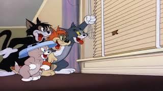 Tom & Jerry  Saturday Evening Puss  Part 2