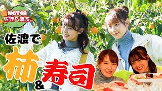 【vlog】NGT48 佐渡へ渡る #25  ／ 佐渡！柿！寿司！