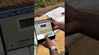 Maize  Moisture Testing in Allagadda