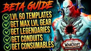 The Shadowlands Beta COMPLETE GUIDE