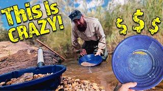 I Made Hundreds of Dollars Gold Panning