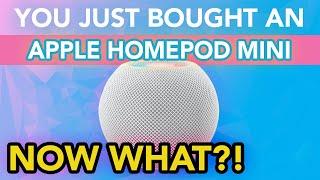 You Just Bought An Apple HomePod Mini User Guide