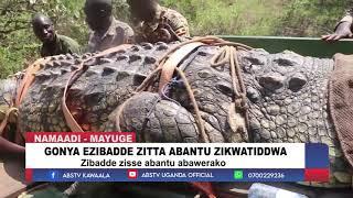 GONYA ZIBADDE ZITTA ABANTU ZIKWATIDDWA