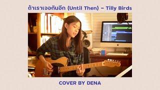ถ้าเราเจอกันอีก Until Then - Tilly Birds   Cover by Dena