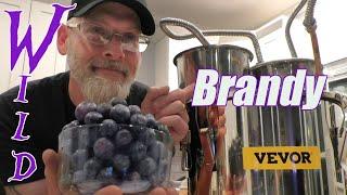 Wild Muscadine Grape Brandy + VEVOR Pot Still REVIEW