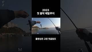 2023 첫 볼락 메탈루어  #루어낚시#볼락루어#속초볼락