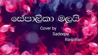 Sepalika Malai සේපාලිකා මලයි cover by Sadeepa Ravishan