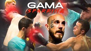 GAMA SPARRINGS - ღია სპარინგები 