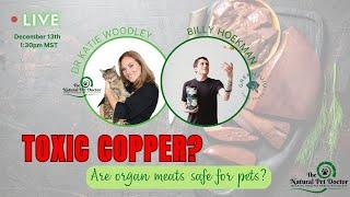 Toxic Copper - Are Organ Meats Safe For Your Pets?