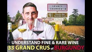 What makes the 33 Grand Crus of Burgundy Unique?  Best Bourgogne Wines Explained