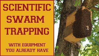 Swarm Trapping & Swarm Trap Design Scientific Based Strategies Based on Dr. Tom Seeleys Research