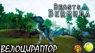 ТРУСЛИВЫЙ ИХТИОВЕНАТОР  BEASTS OF BERMUDA  ВЕЛОЦИРАПТОР ► Прохождение 2 Серия