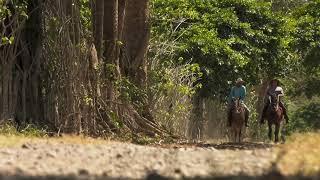 Tour a Caballo en Finca Lay