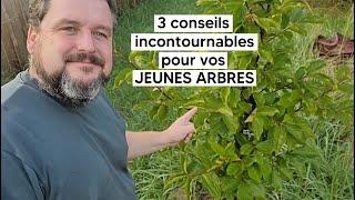 3 conseils incontournables pour vos jeunes arbres